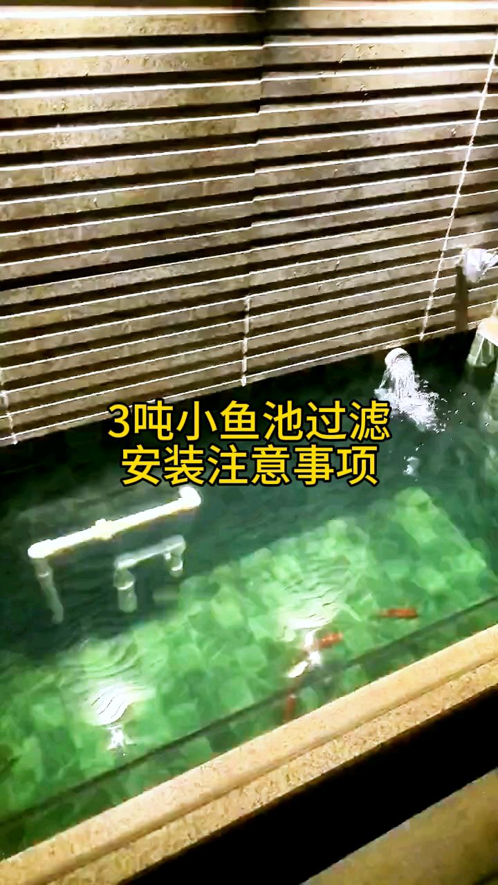 这是鱼池底部的玻璃面,又是地下室的房顶,这个玻璃底面整整围绕