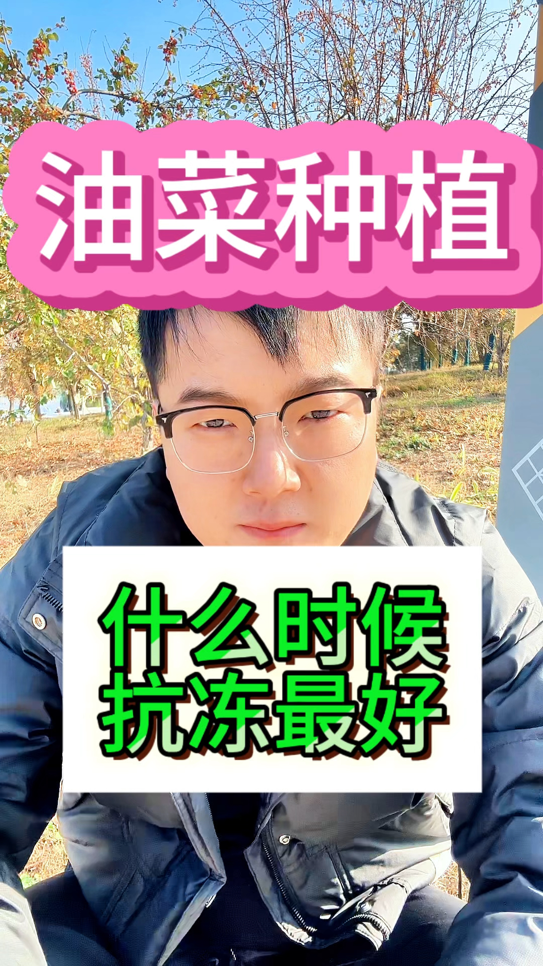 油菜什么时候打抗冻效果最好。