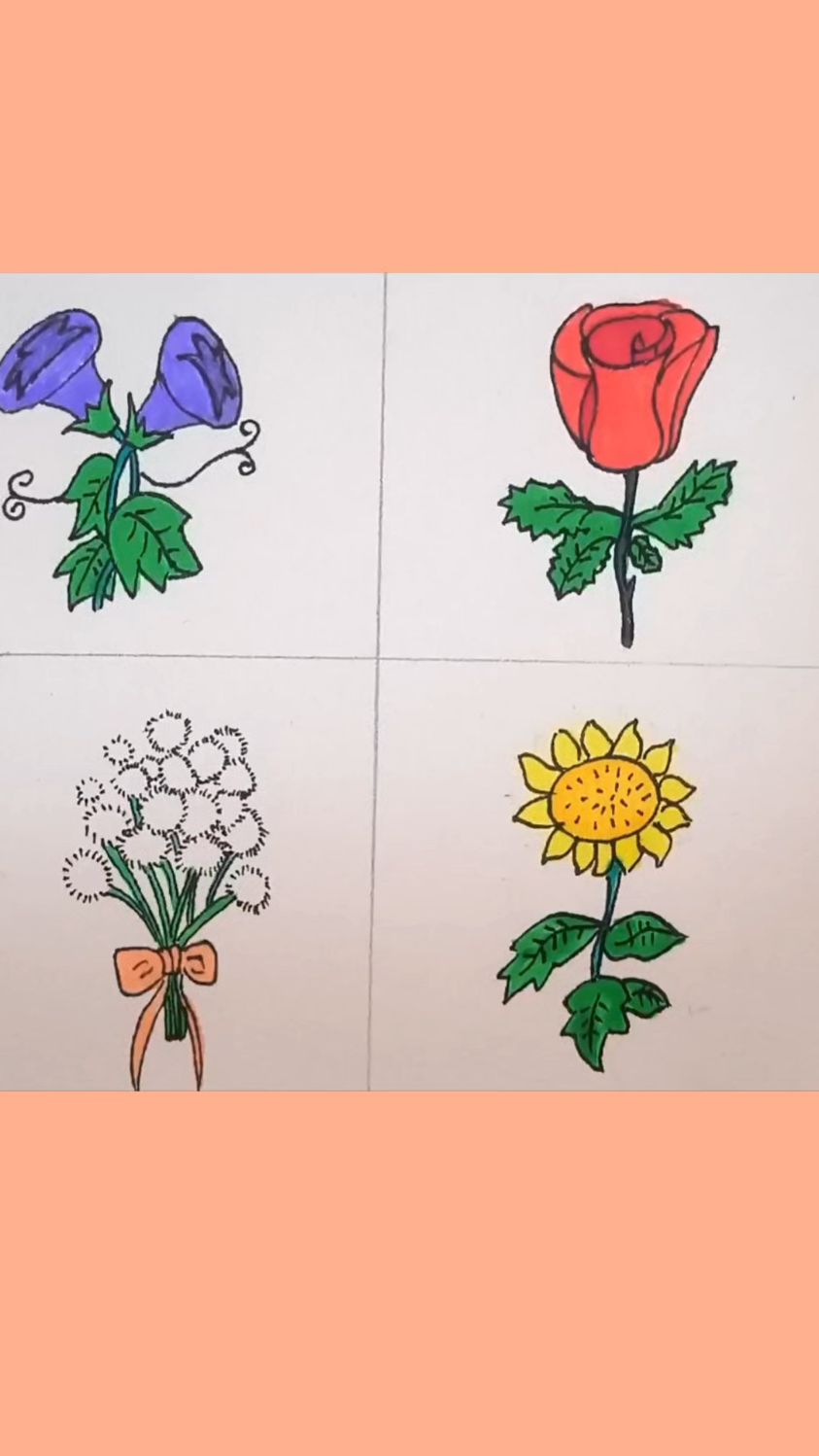 一起来画美丽的花朵吧,儿童创意简笔画
