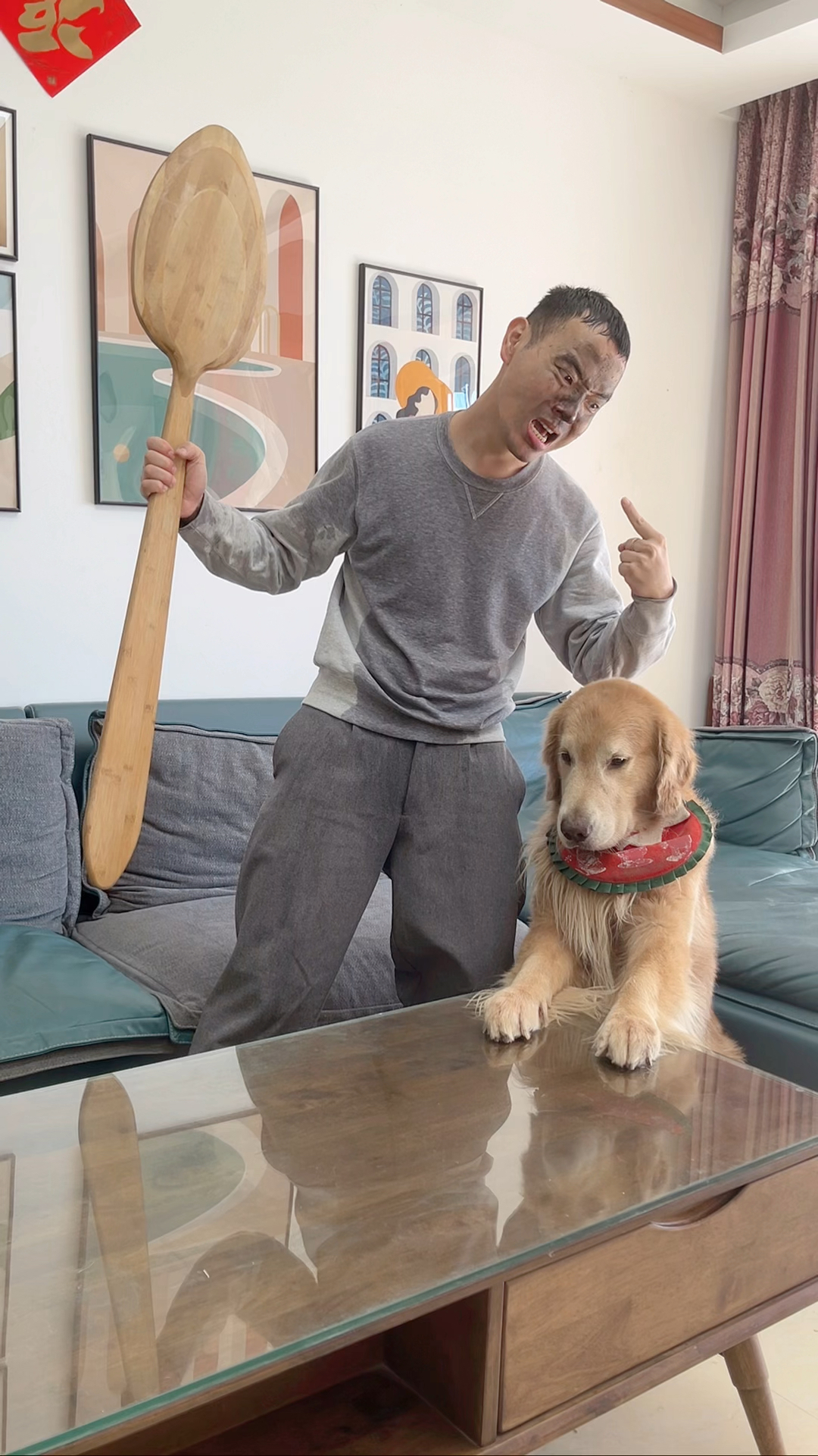距离四毛上次飞出去多久了?