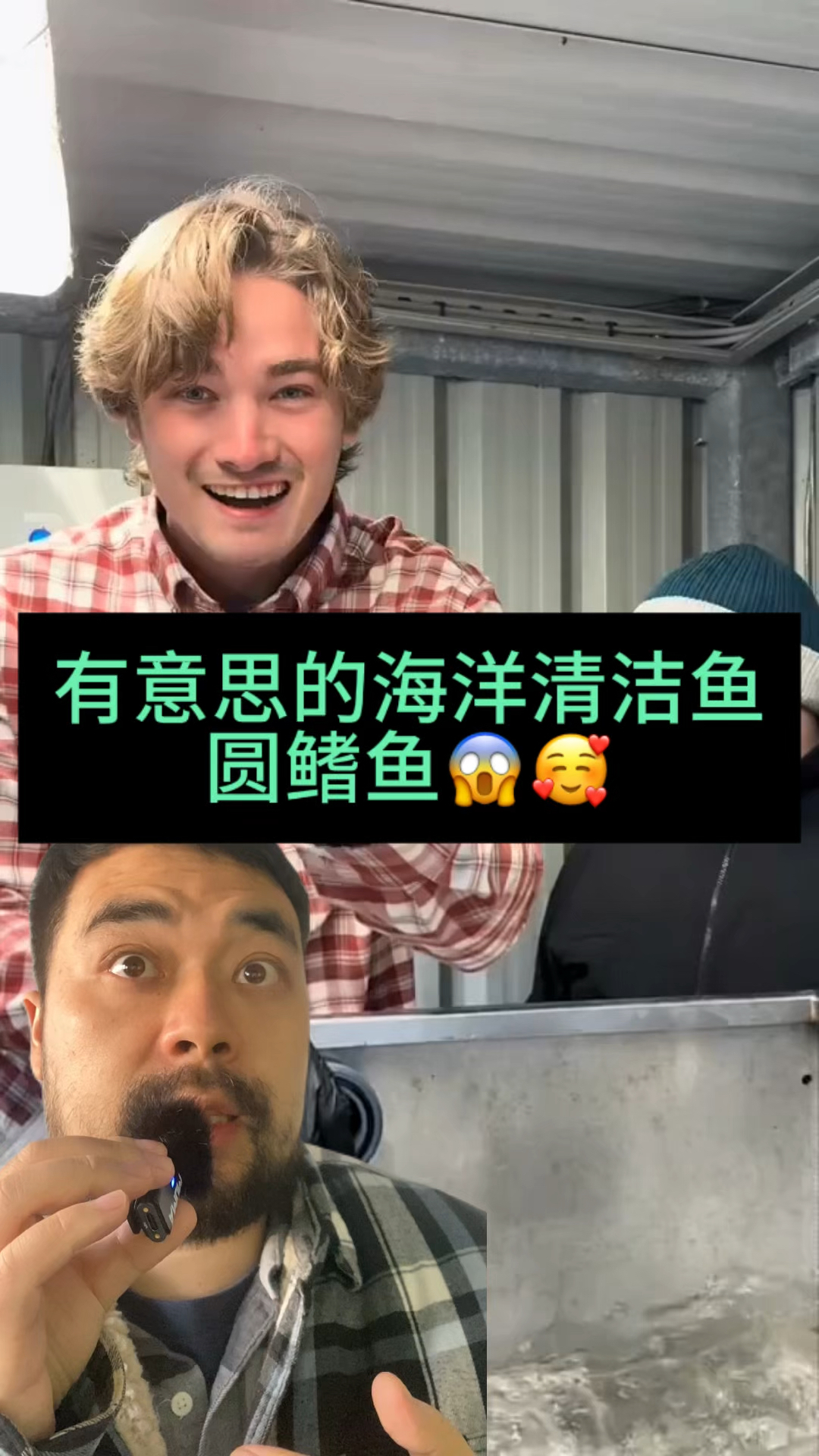 有意思的海洋清洁鱼 圆鳍鱼 希望你会喜欢