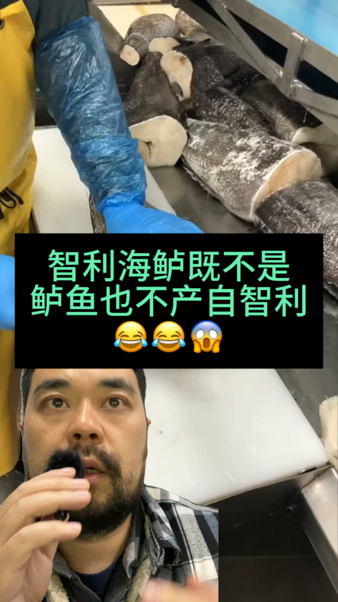 智利海鲈既不是鲈鱼也不产自智利 你明白了吗