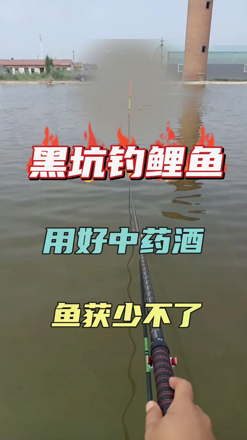 黑坑钓鲤鱼用好中药酒鱼获少不了