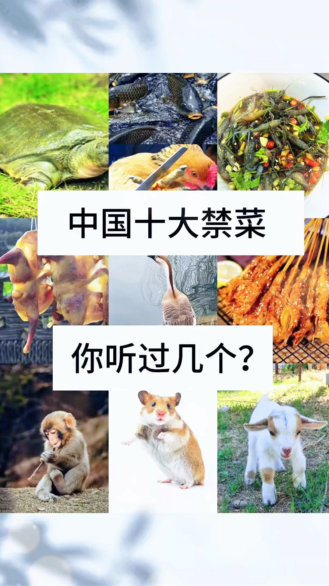 我国十大禁菜,这些不能吃的菜你了解多少