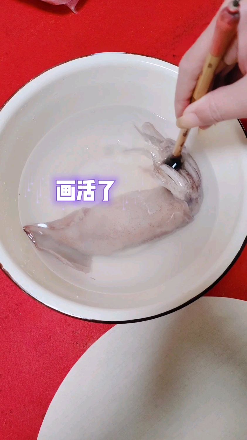 画活了鱿鱼这么画真好看