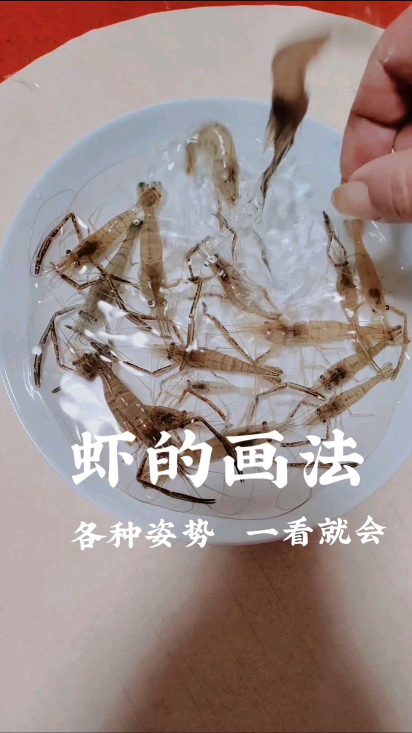 虾的画法各种姿势一看就会