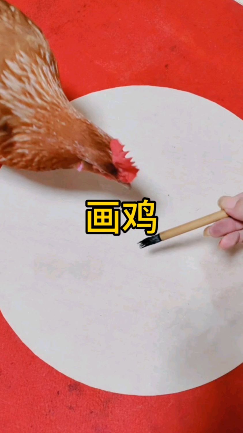 拿手绝活画鸡来了