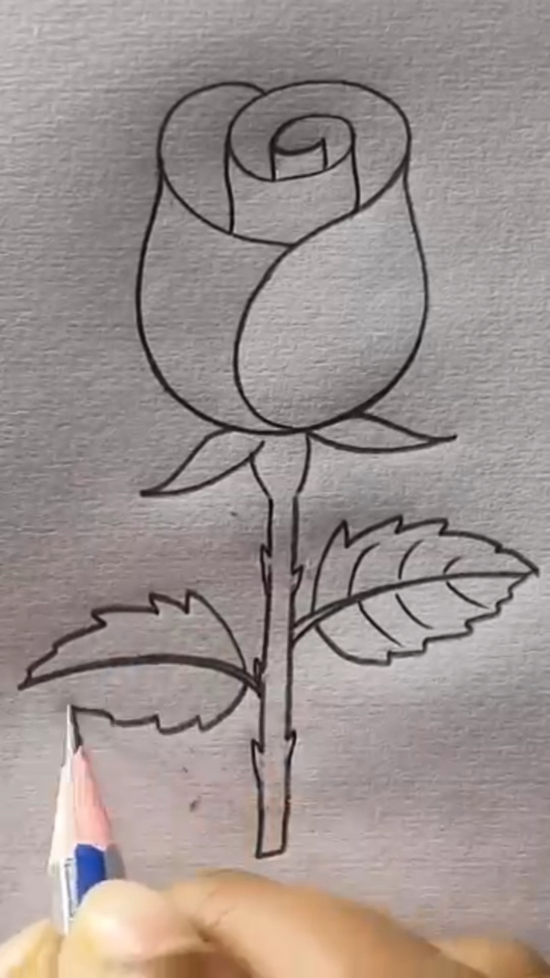 你会手绘玫瑰花吗?30秒教会你～比真花更加有诚意～