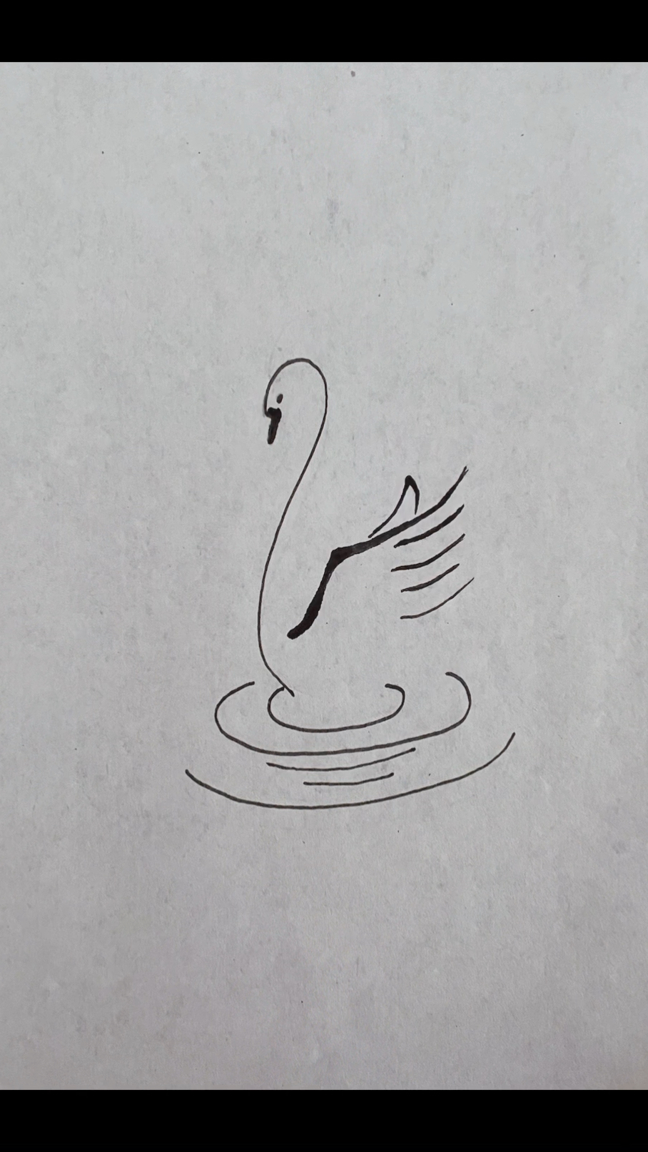 优雅白天鹅简笔画