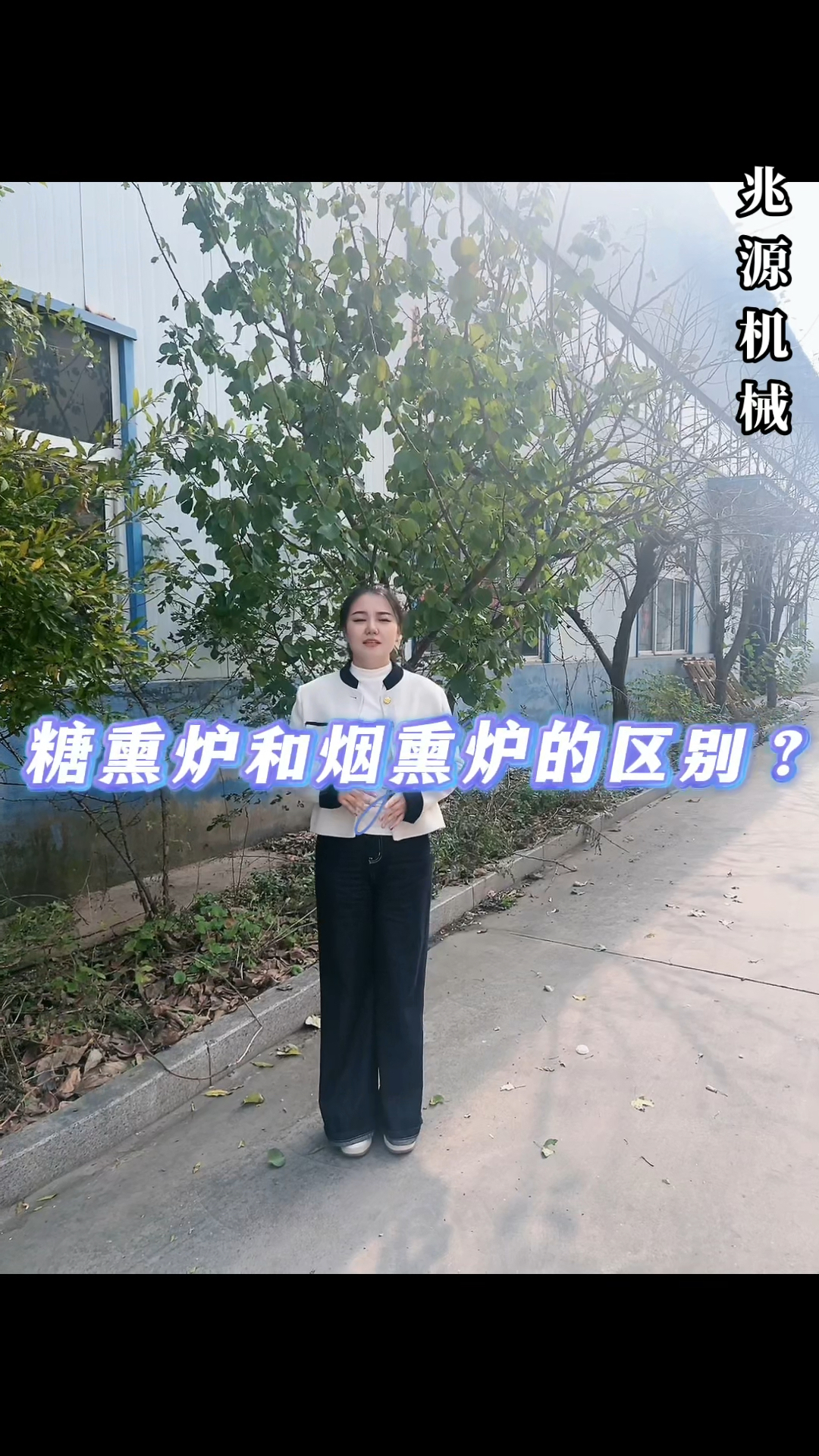 腊肉香肠烟熏炉,豆干熏烤炉。糖熏炉和烟熏炉的区别在哪?