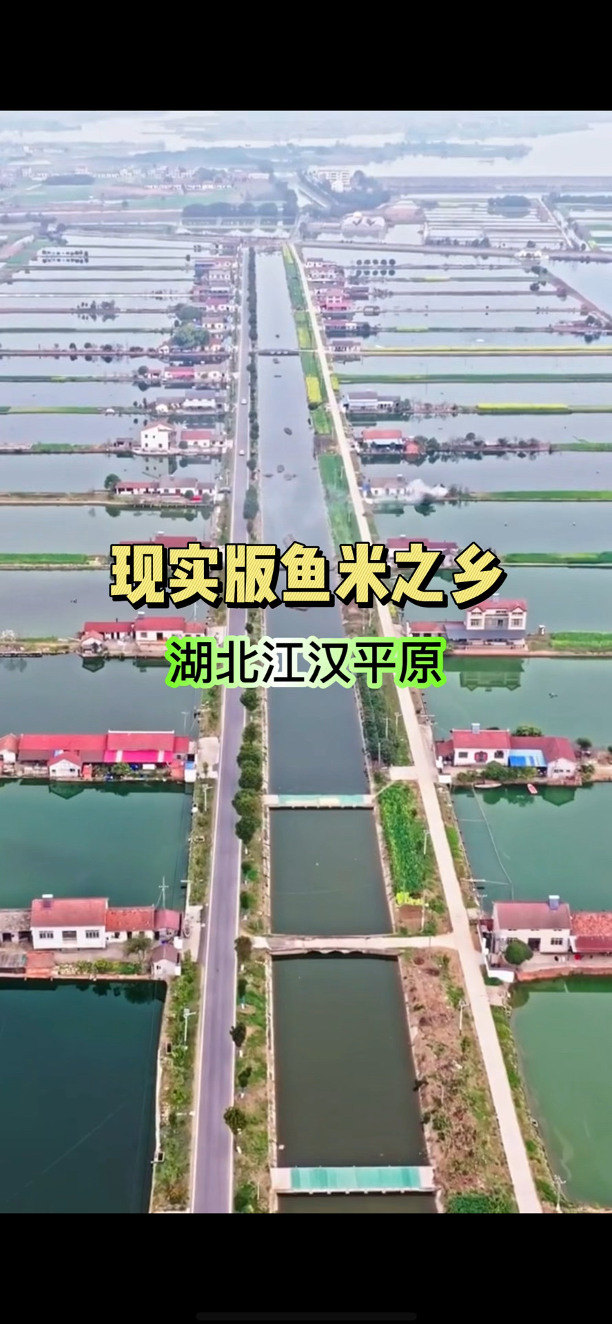 真正的鱼米之乡 千湖之省 湖北江汉平原