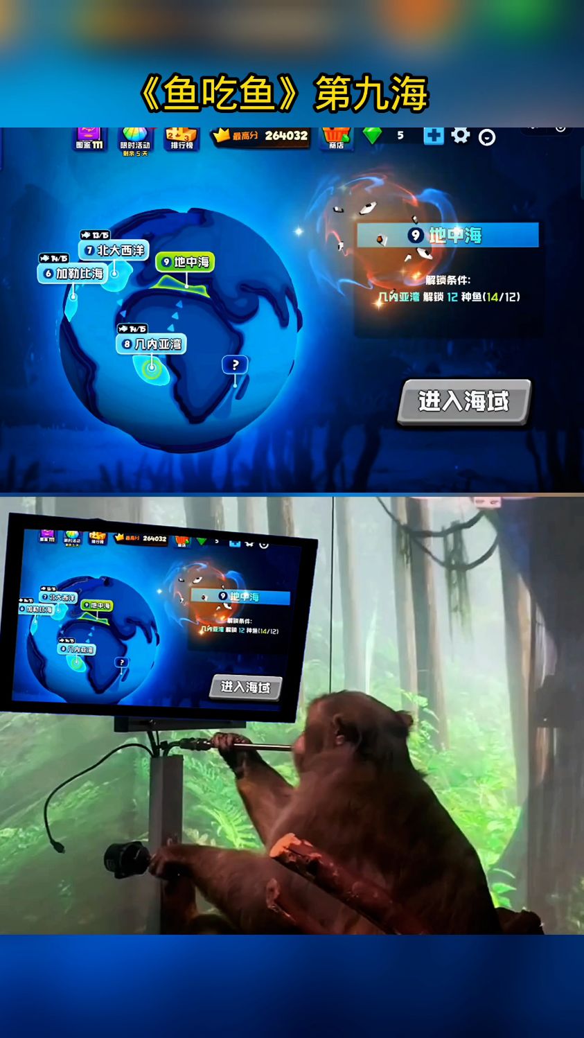 鱼吃鱼第九海域挑战用海鲂鱼升到50级