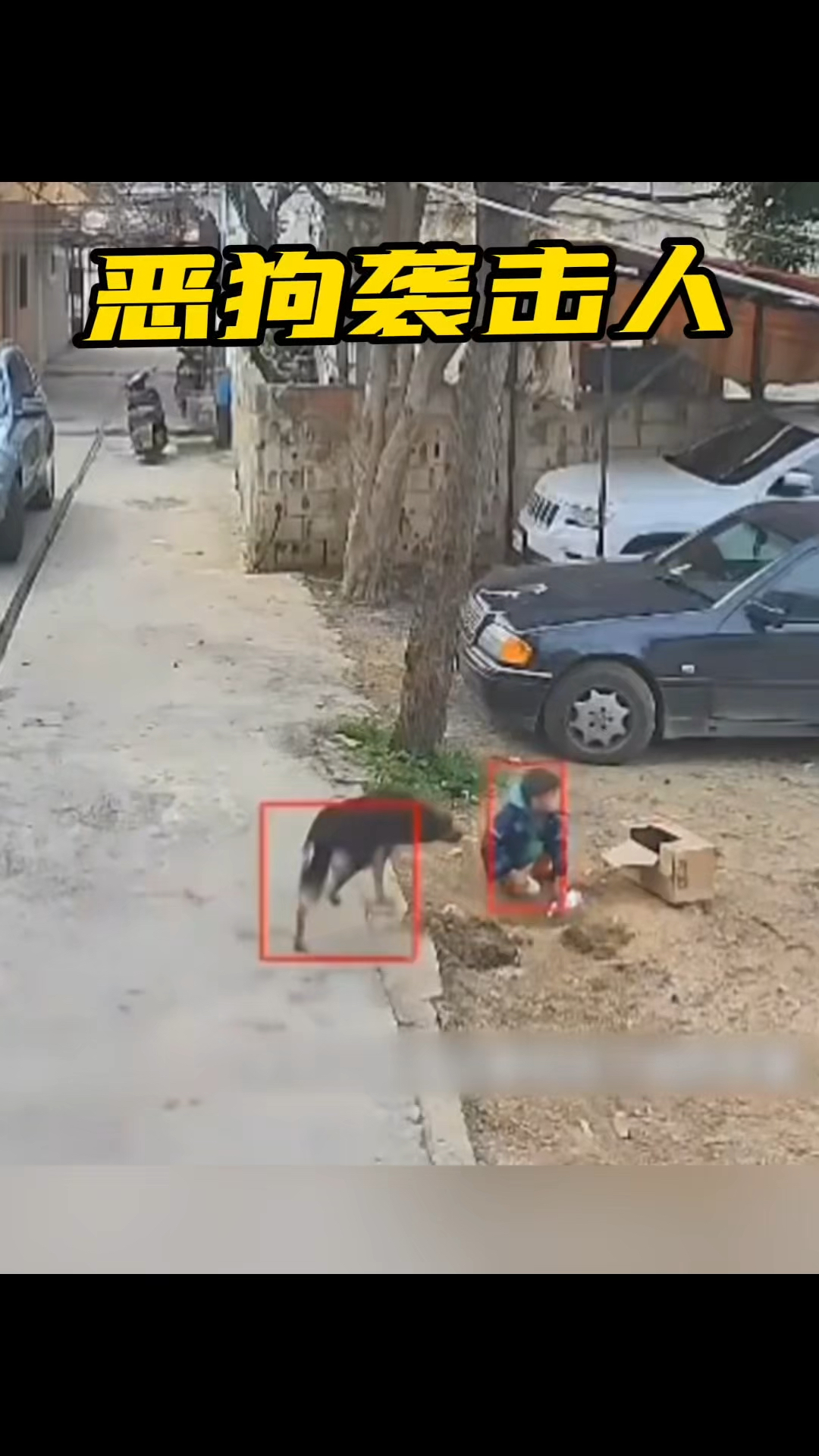 恶狗袭击小男孩,被监控拍下惊心动魄的一幕