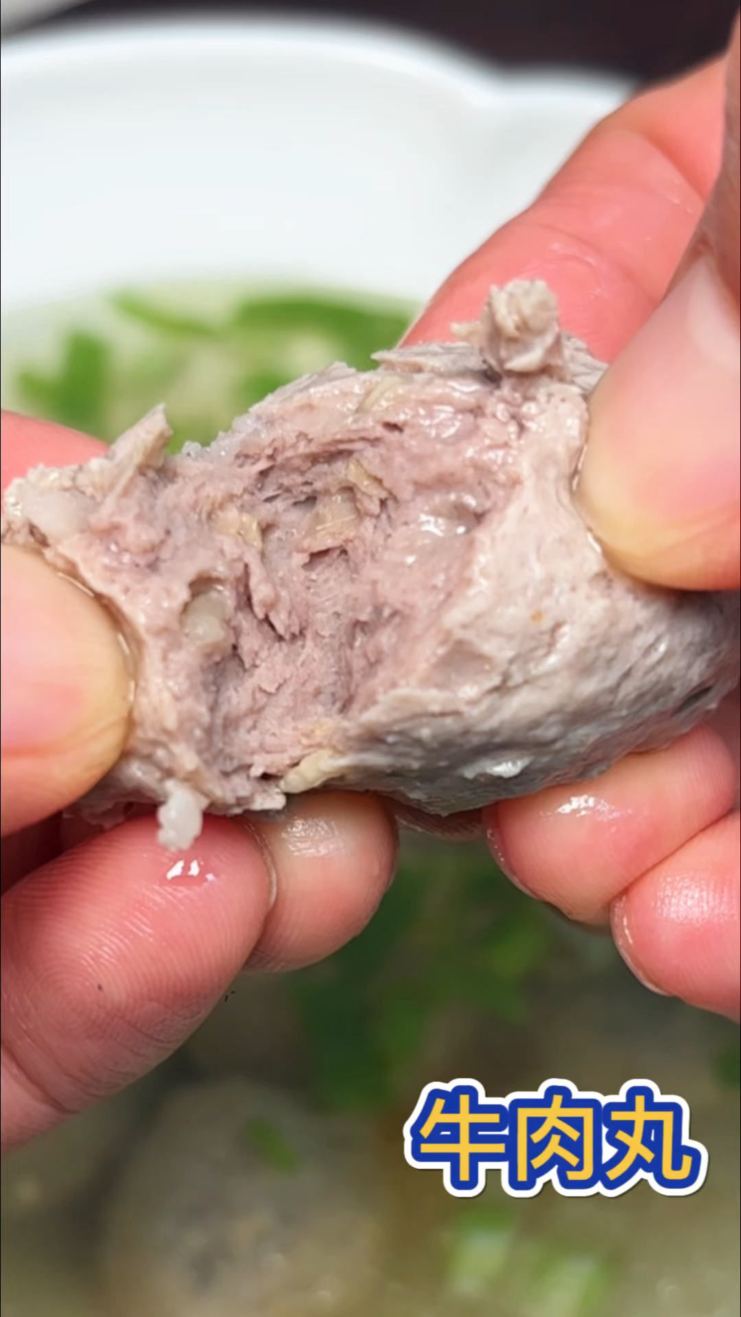 如何自制牛肉丸 Q弹爽滑,家用料理机就可以做成功,劲道不松散