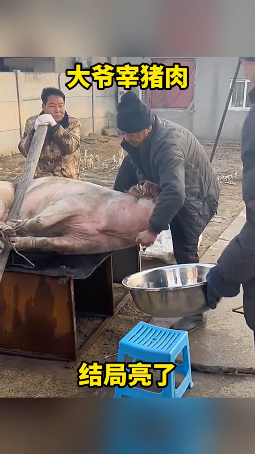 大爷宰猪肉,结局亮了