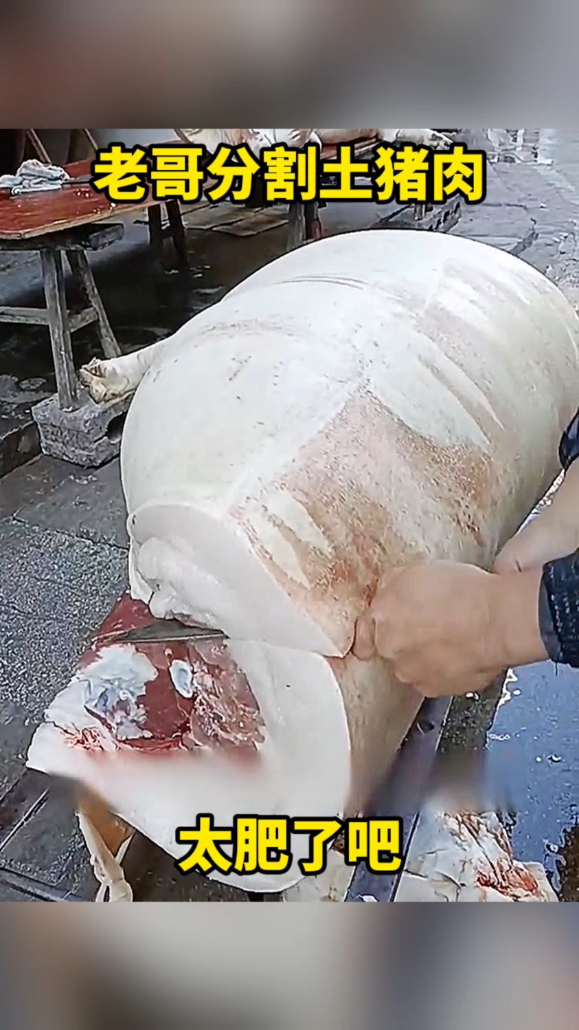 老哥分割土猪肉,太肥了吧