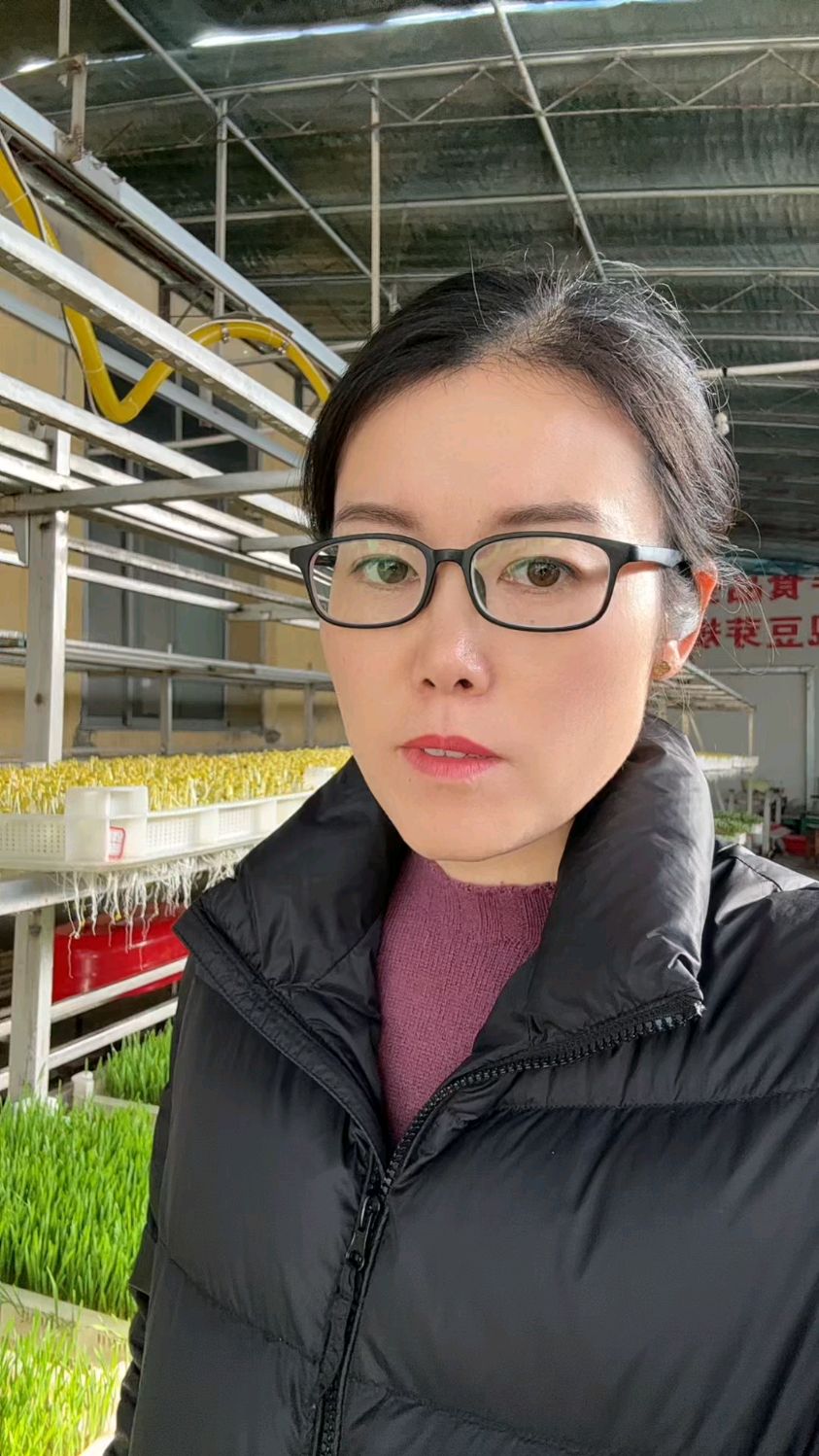 绿色芽苗菜种植技术