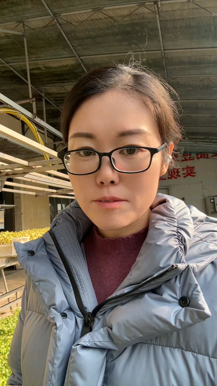 绿色芽苗菜种植技术