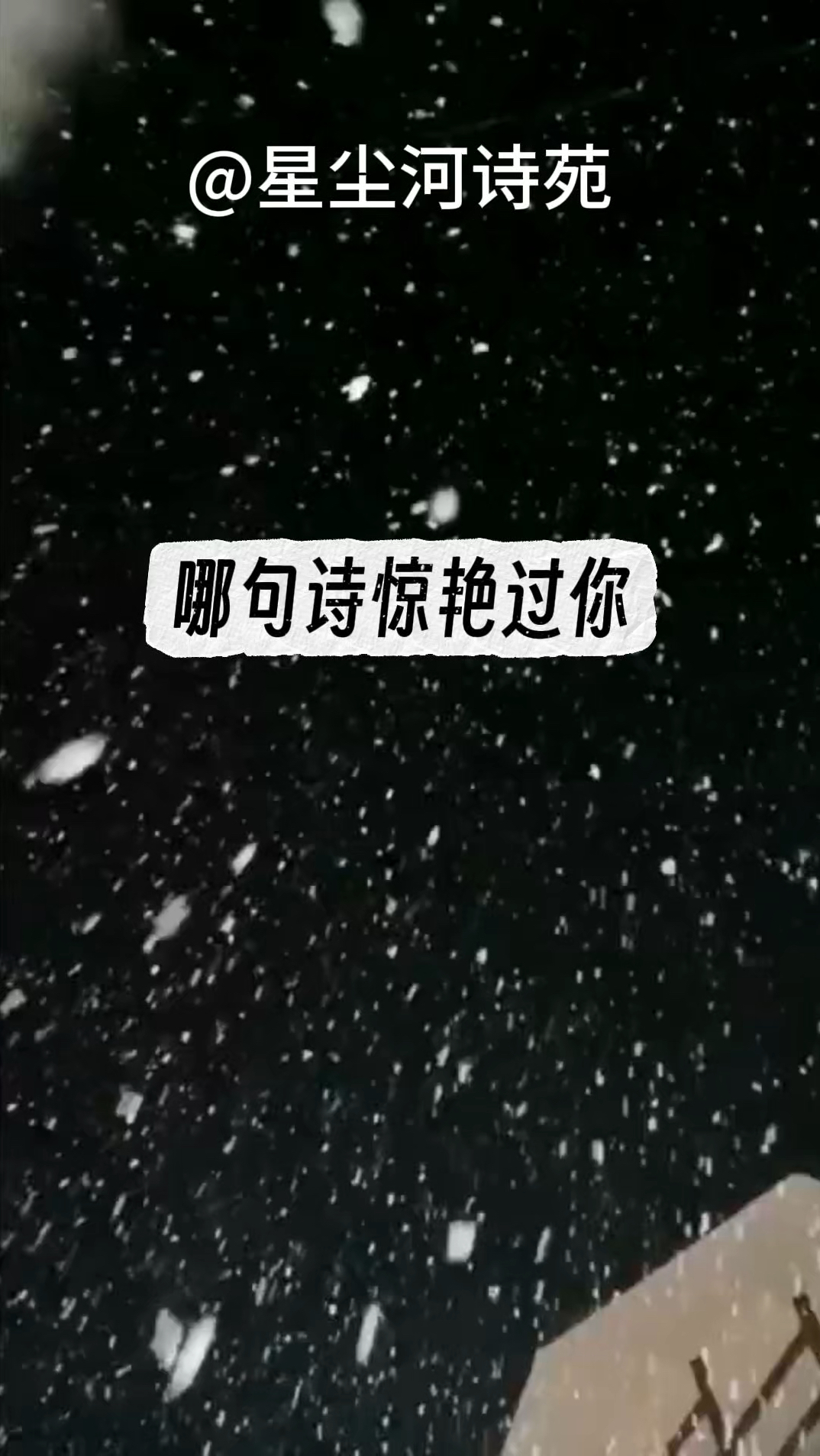 盘点古诗词中的优美句子,看看哪句惊艳了你?