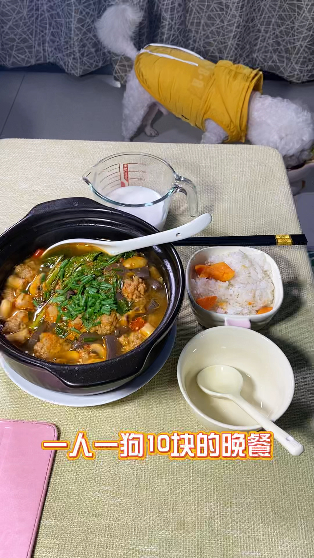 攒钱给它找女朋狗一人一狗预算10块的晚饭:红酸汤肉丸