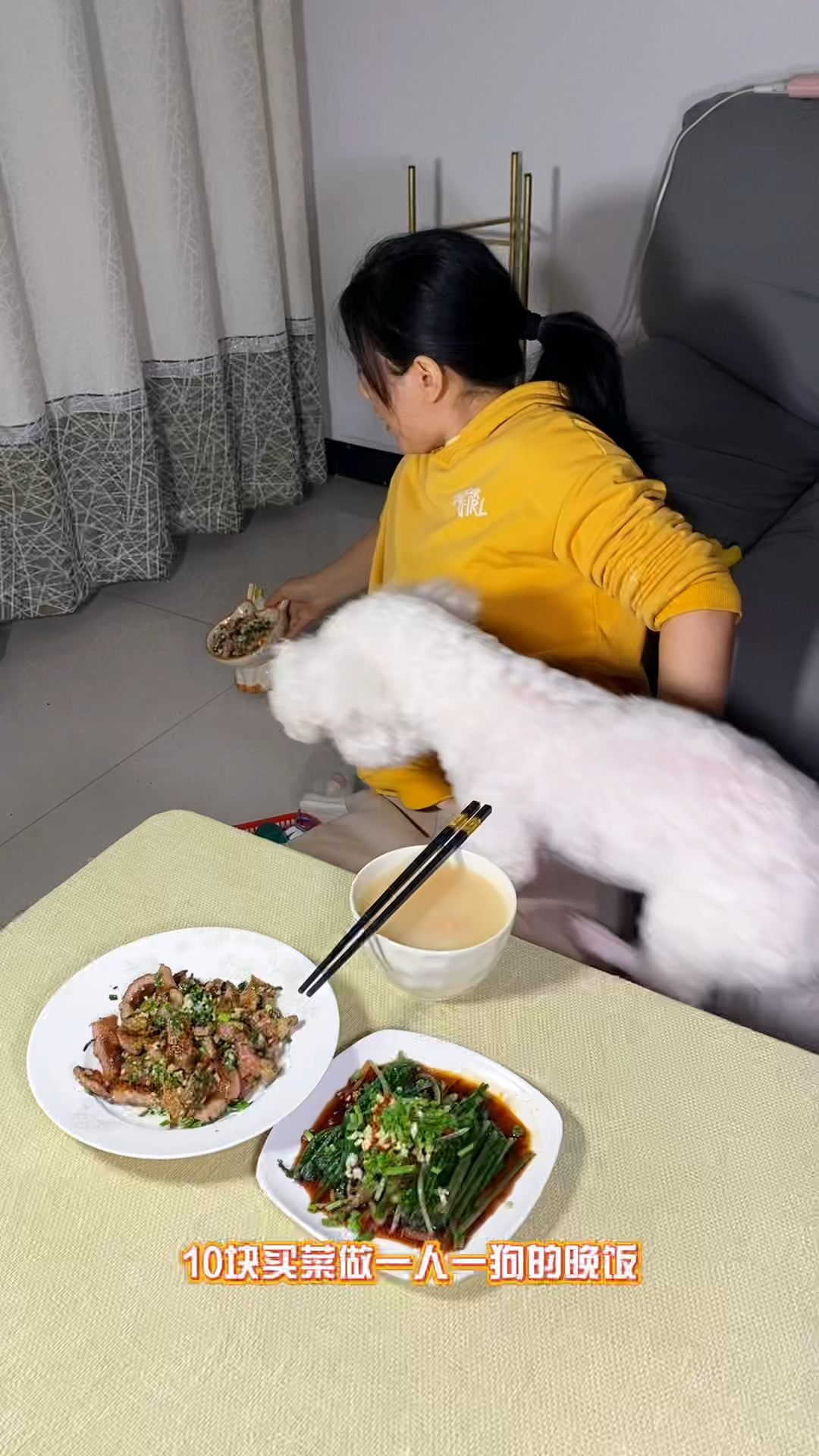 攒钱给它找女朋狗一人一狗预算10块的晚饭
