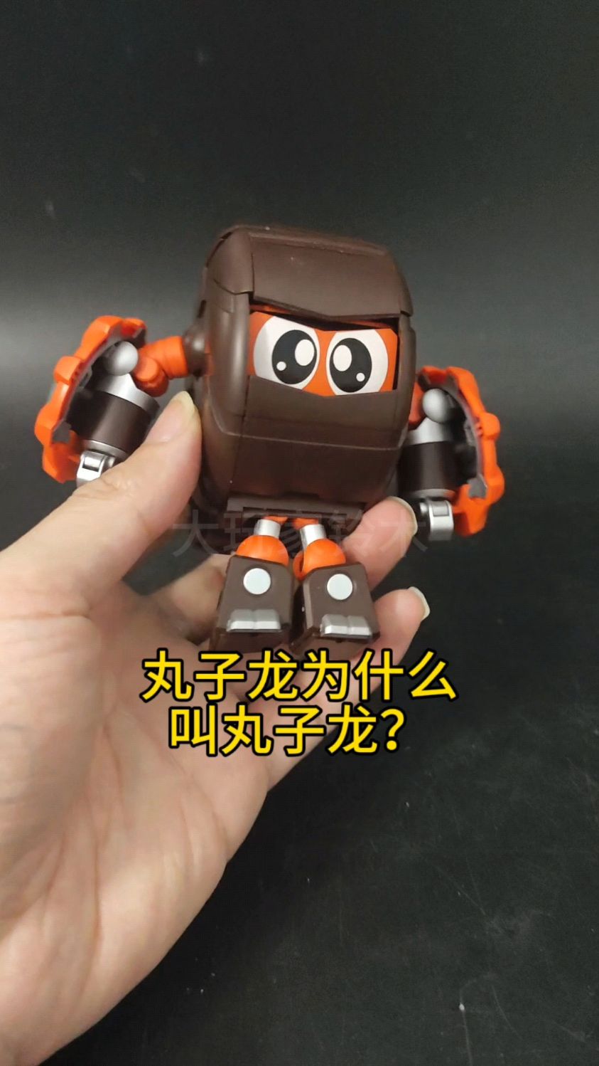 丸子龙为什么叫丸子龙?橘猫工业铁甲小宝卡布达鲨鱼辣椒巨人