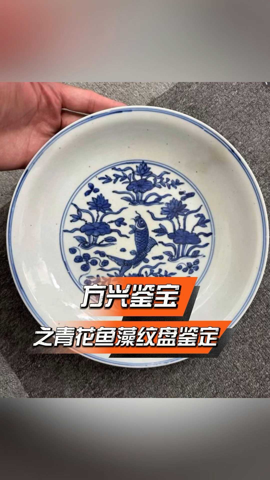 方兴鉴宝公益鉴定之明代青花鱼藻纹盘明清瓷器鉴定