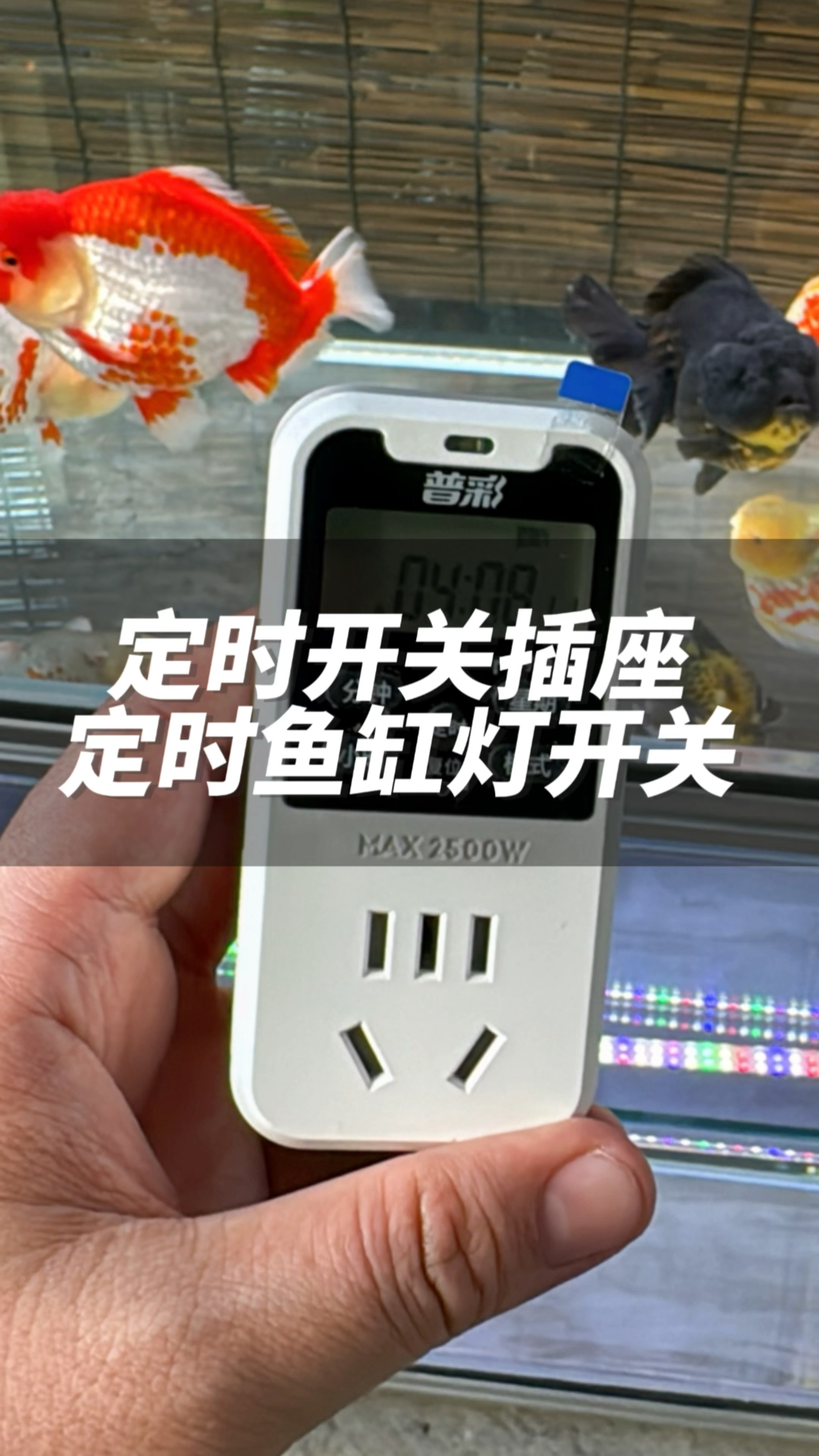 鱼缸怎么定时开灯关灯,科学合理光照才能让鱼健康