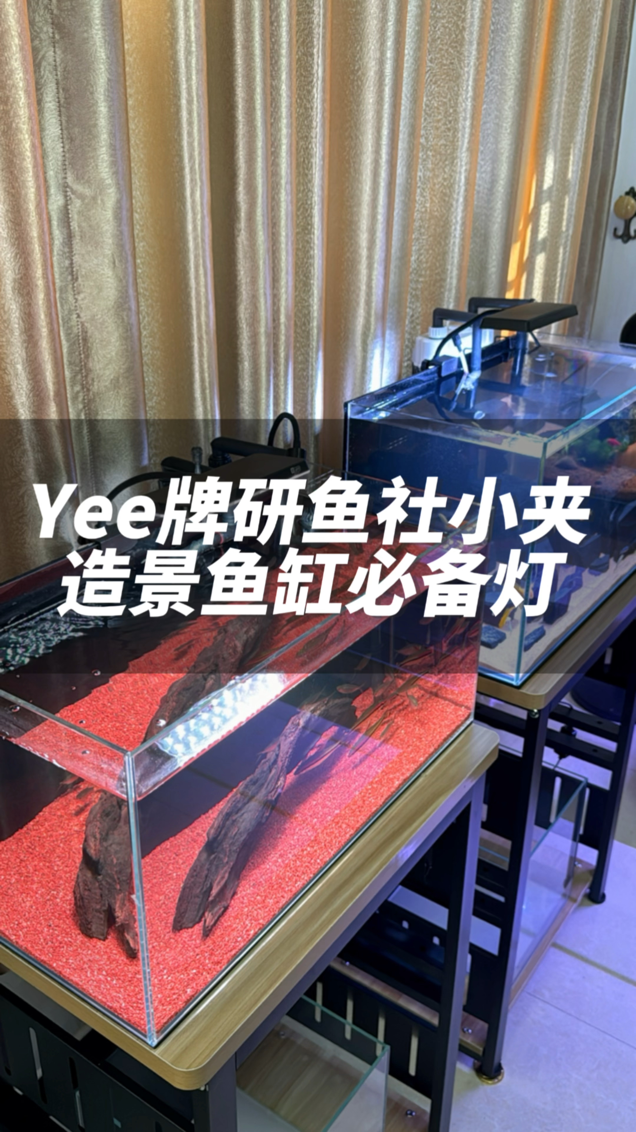 造景鱼缸必备的鱼缸灯,又亮又好用还很省电