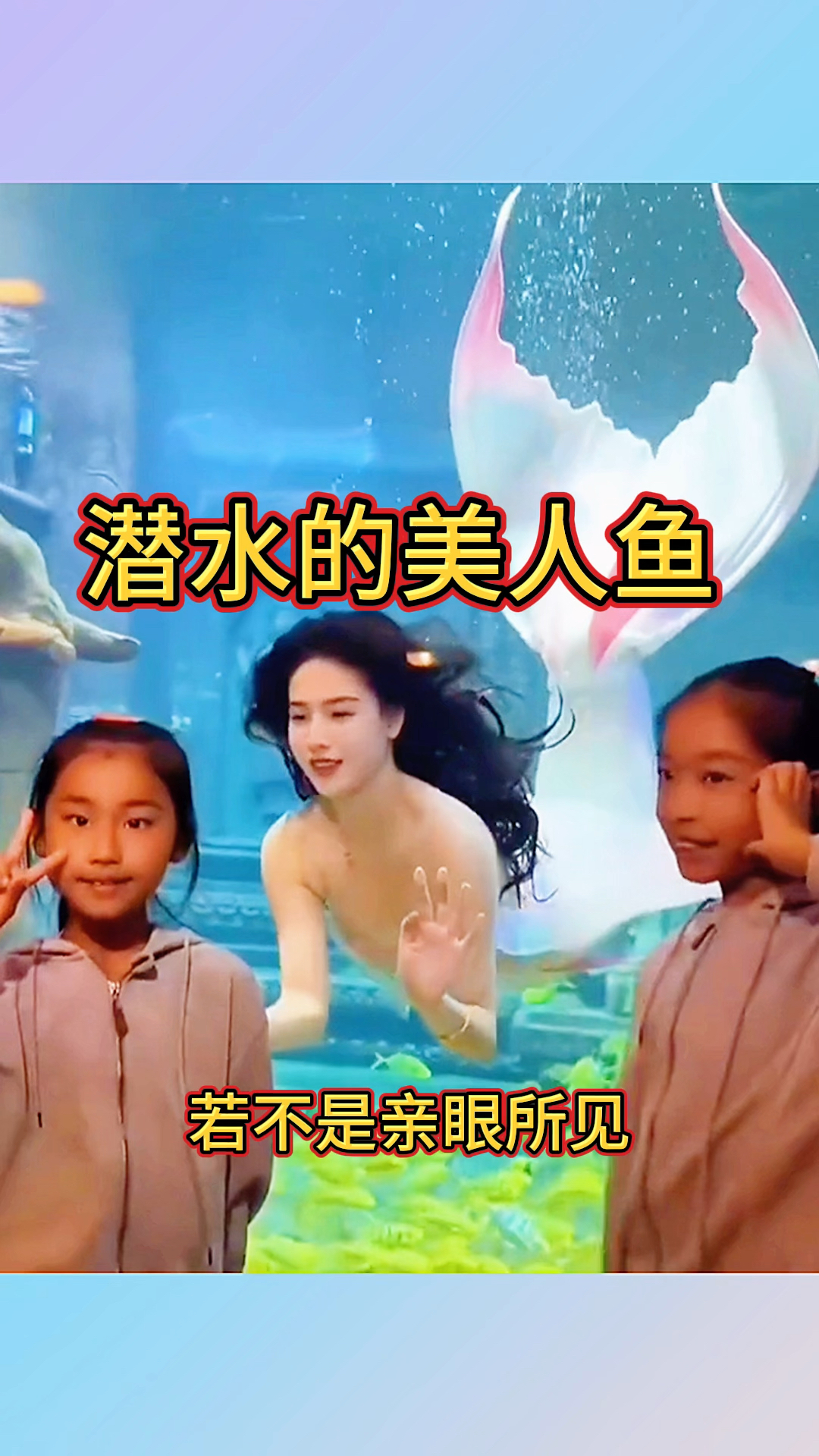 潜水的美人鱼,太漂亮了