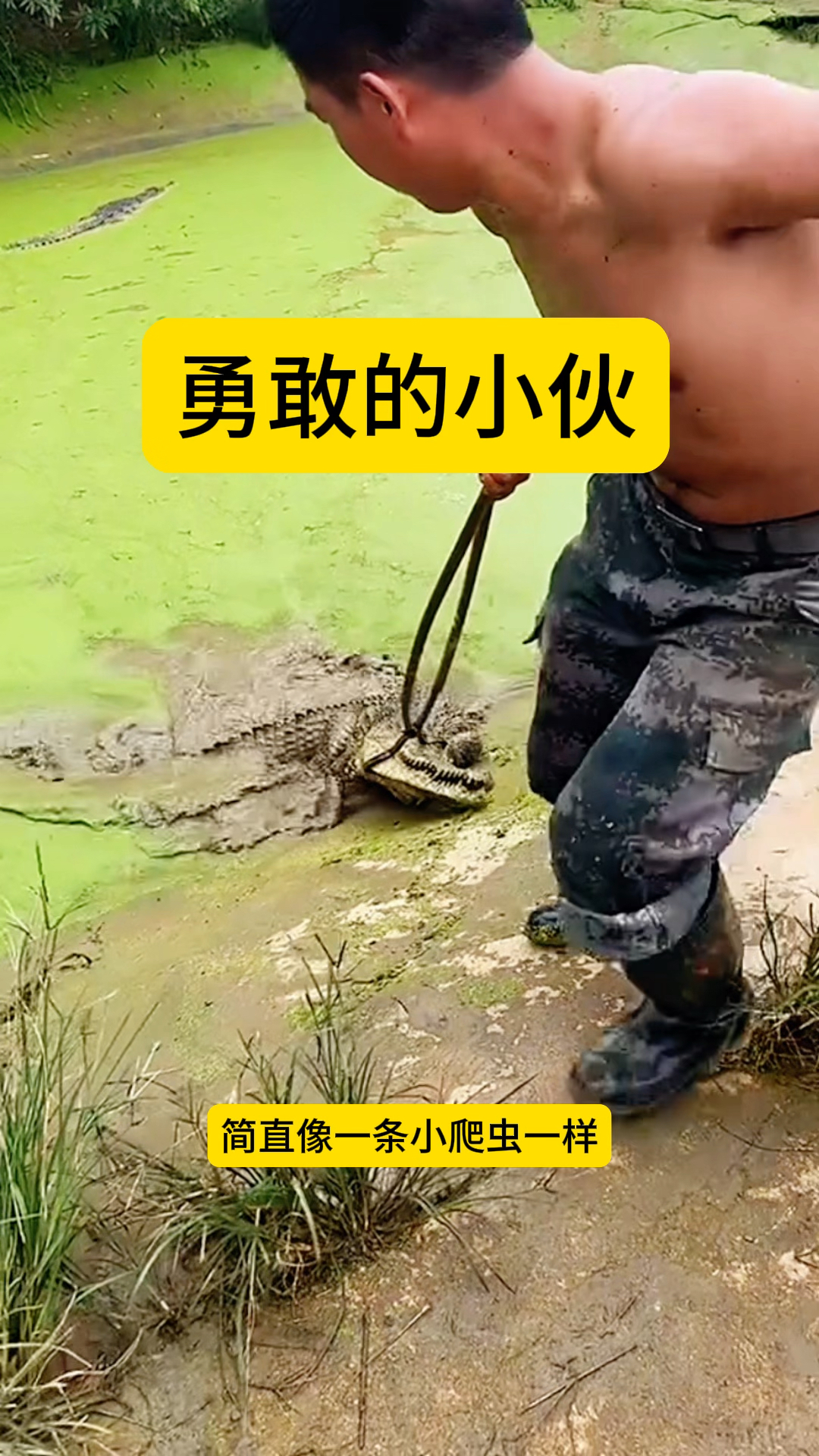 勇敢的小伙,居然利用钳子直接就把鳄鱼抓住了