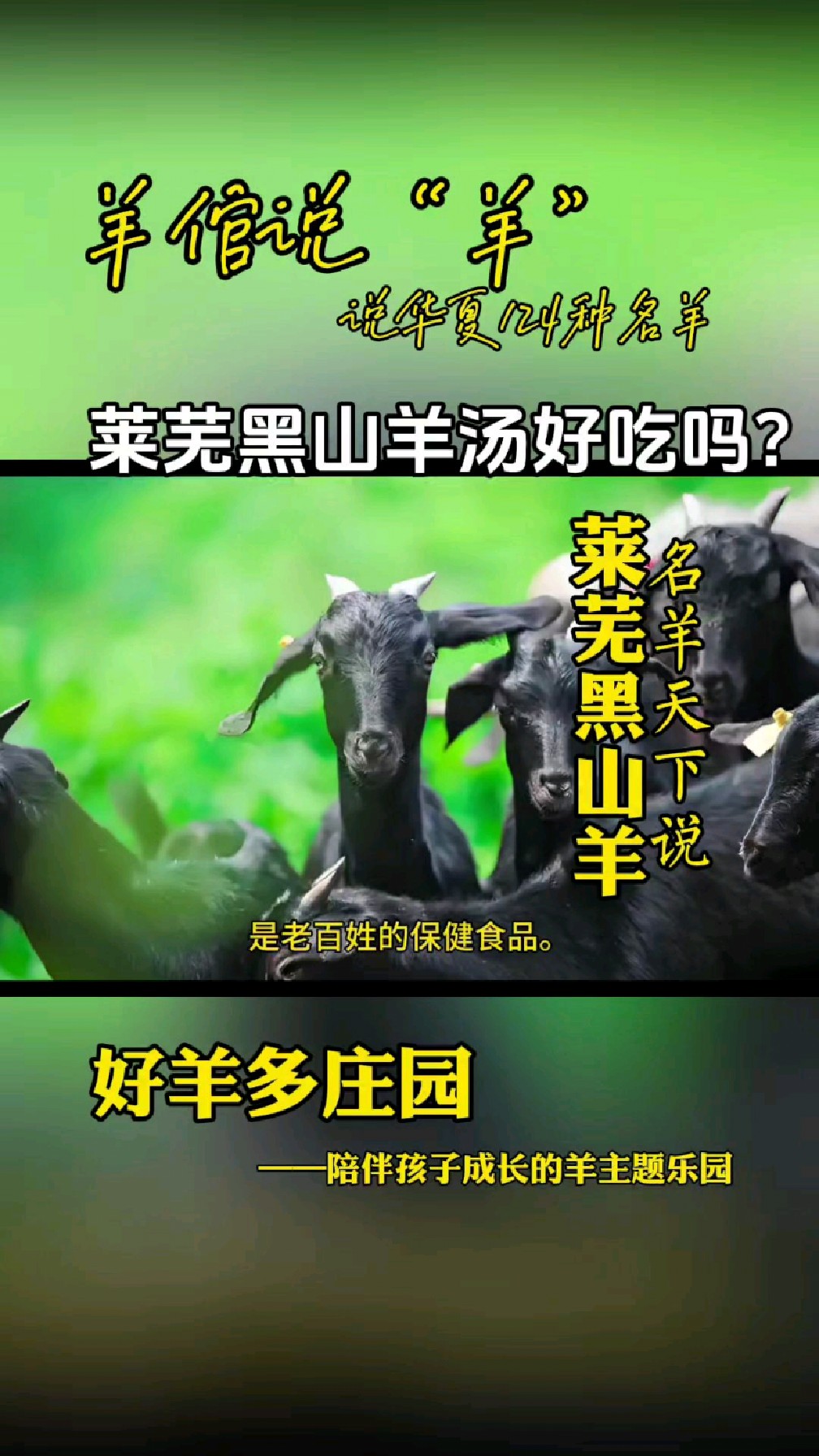 山东名吃“莱芜黑山羊羊汤”您吃过吗?