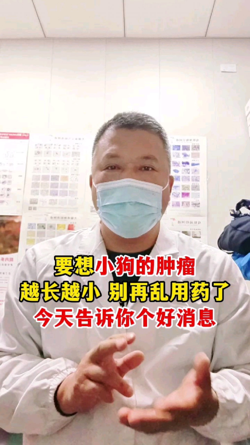 要想小狗的肿瘤越来越小,别再乱吃药,告诉你一个好消息
