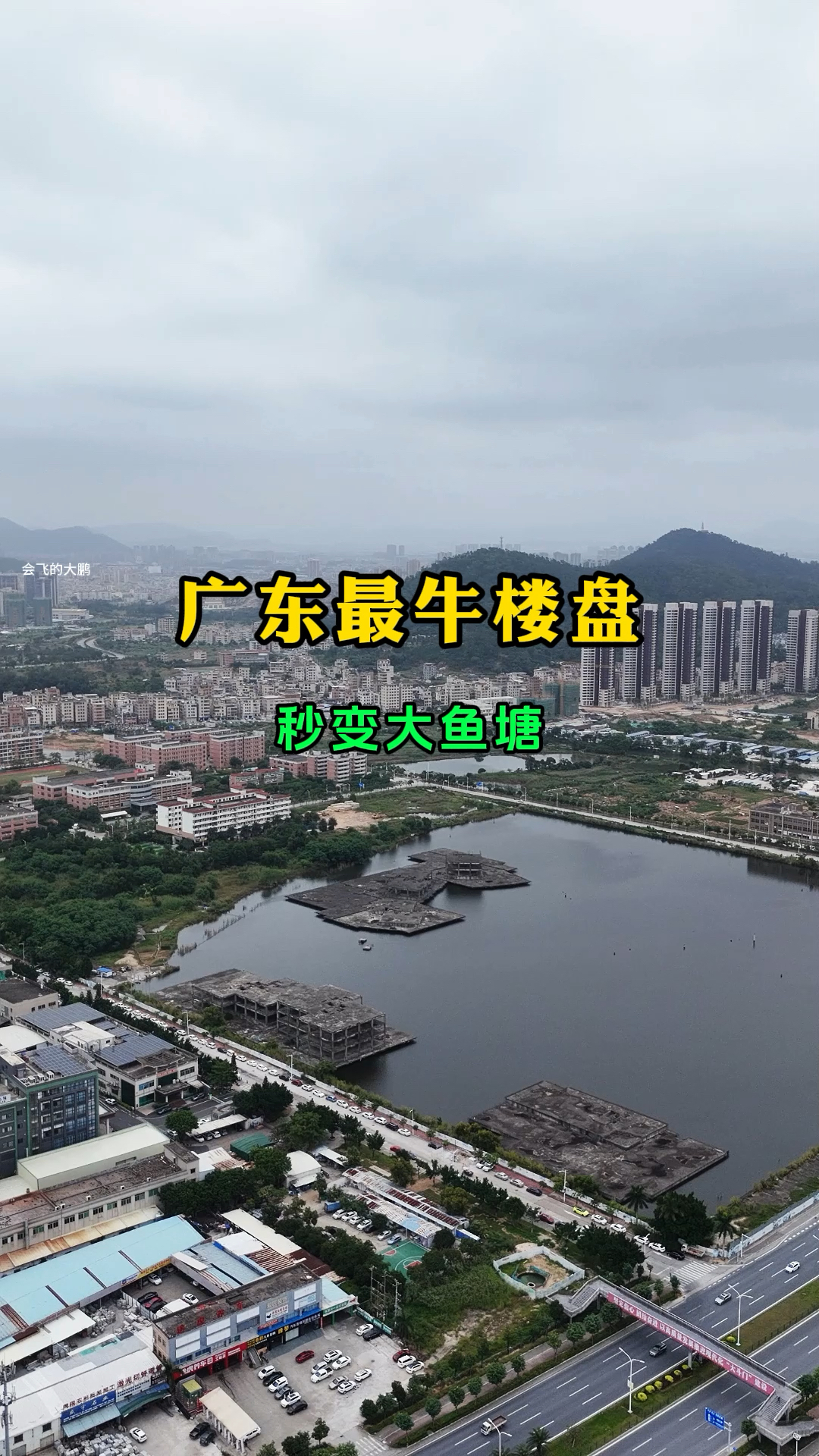 广东最牛楼盘,秒变大鱼塘,钓鱼佬的绝佳钓点,就是苦了业主,