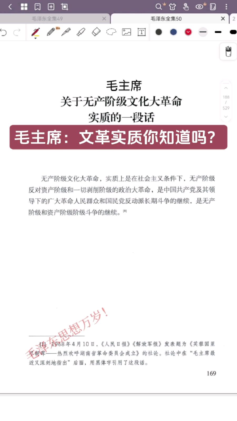 毛主席:文革实质你知道吗?