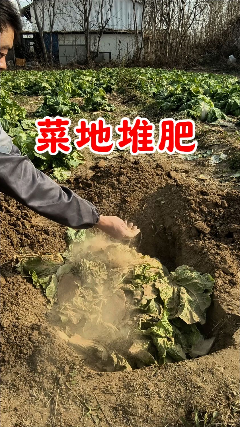 厨余垃圾烂菜叶子都可以用来堆肥,制作有机肥。