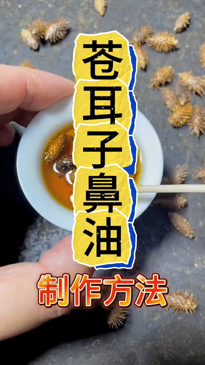 传统苍耳子油的制作方法