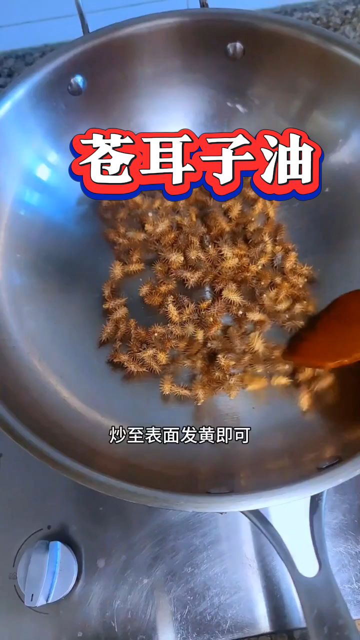制作苍耳子油,这是代代相传下来的小妙招