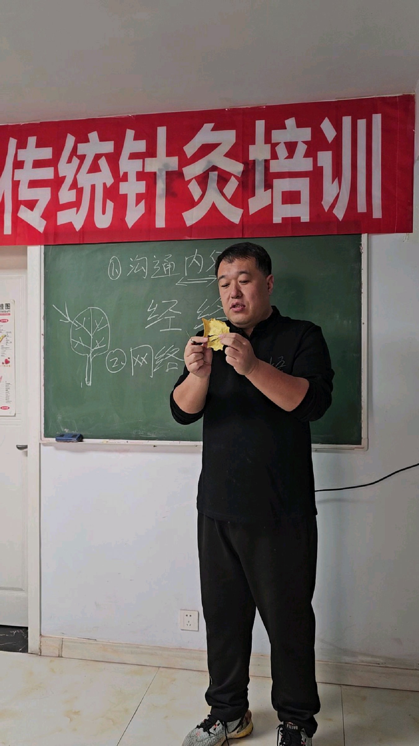 一个树叶让你记住经络的功效。