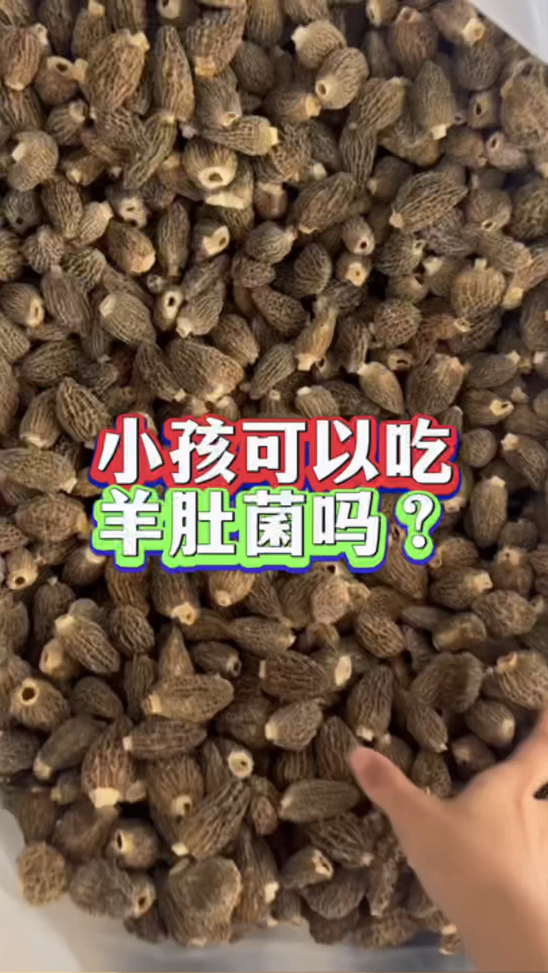 小孩可以吃羊肚菌吗!