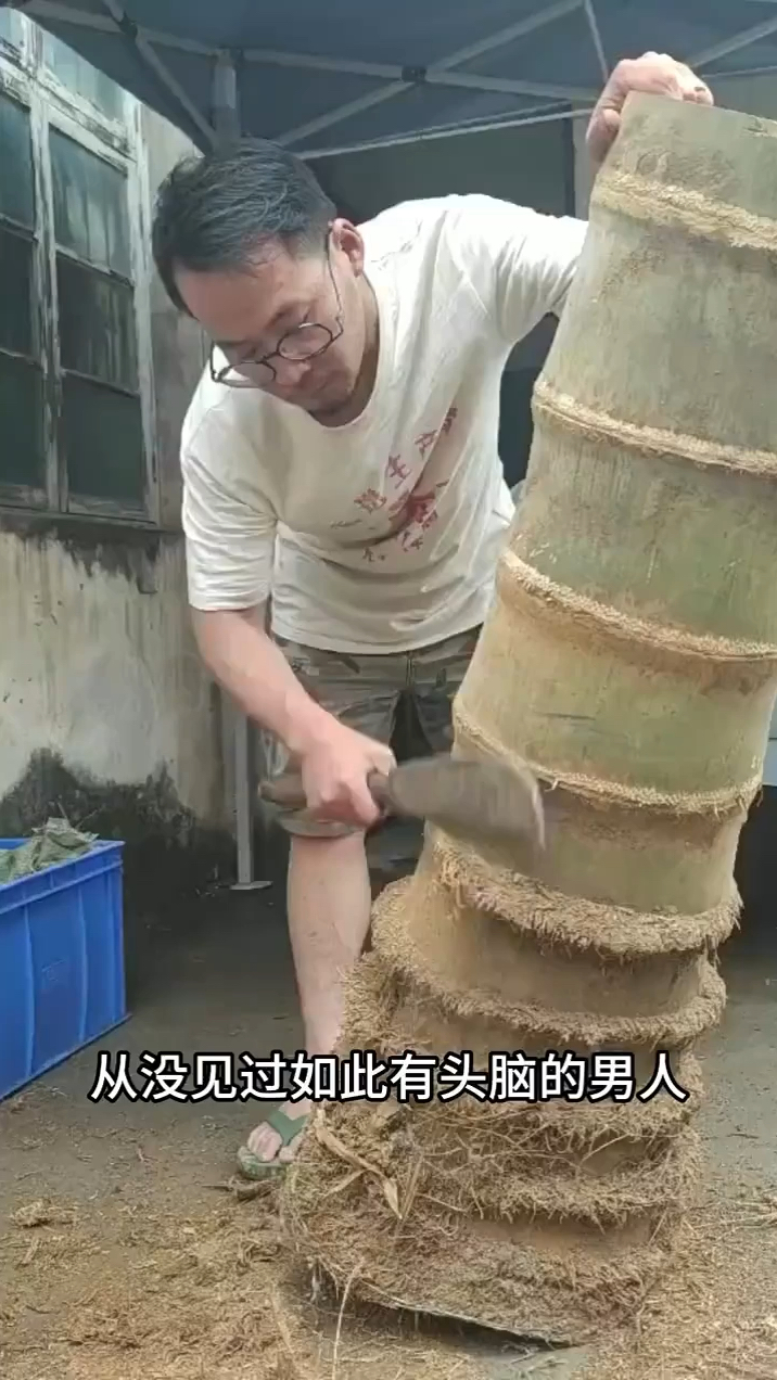 竹甑子制作过程,怎么蒸饭?