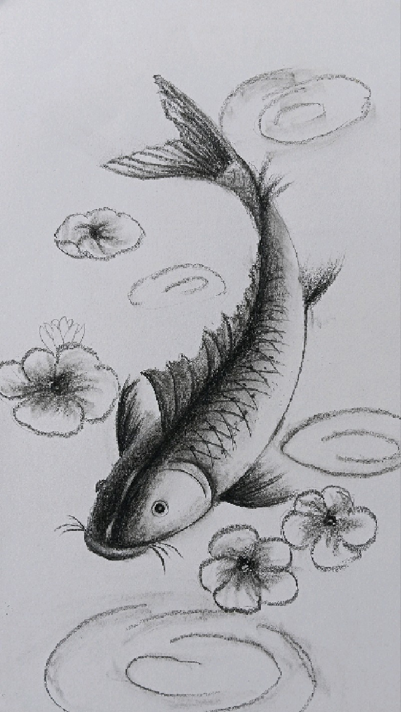 铅笔素描画动态中的鱼