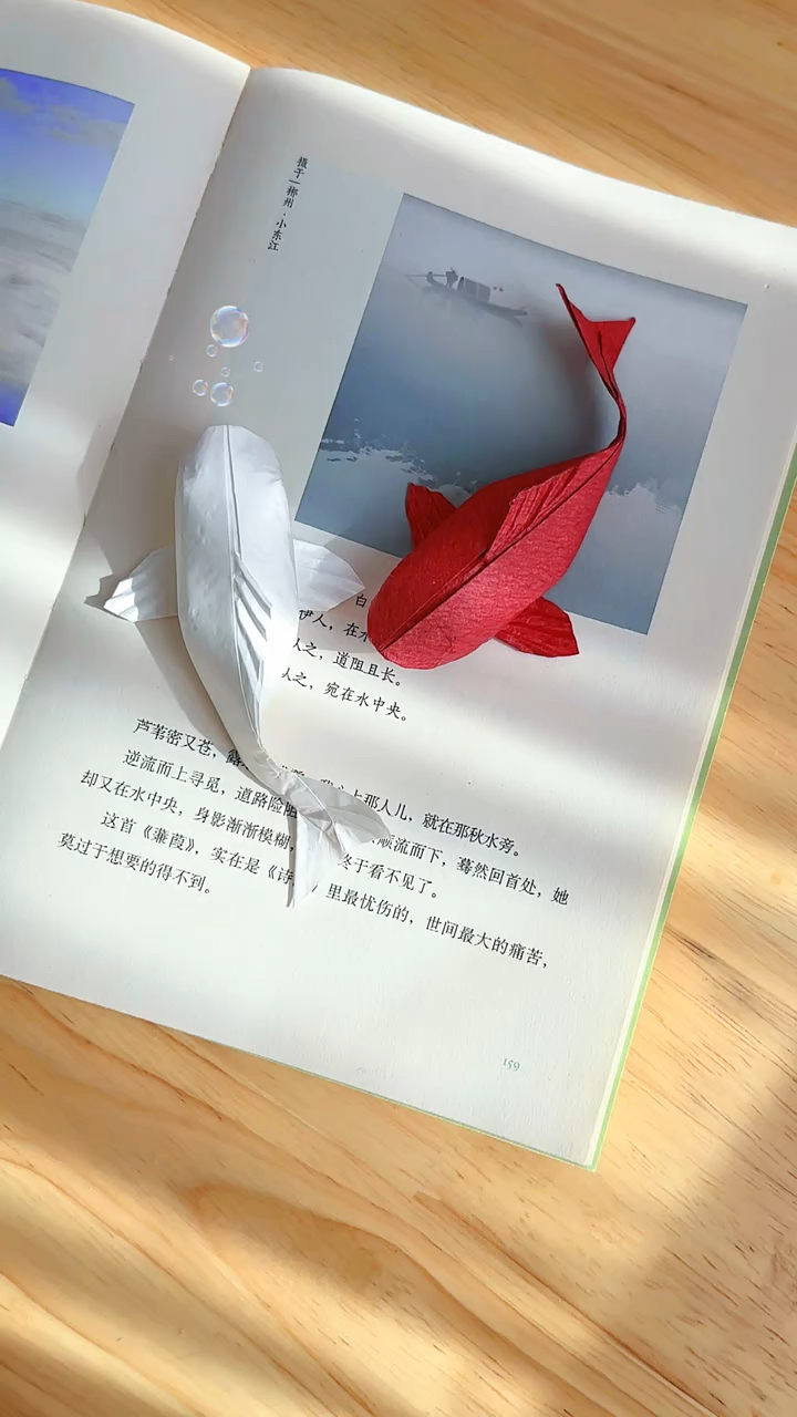 新年当然要一起来折条锦鲤鱼啦,愿您被锦鲤鱼治愈附身,好运连连