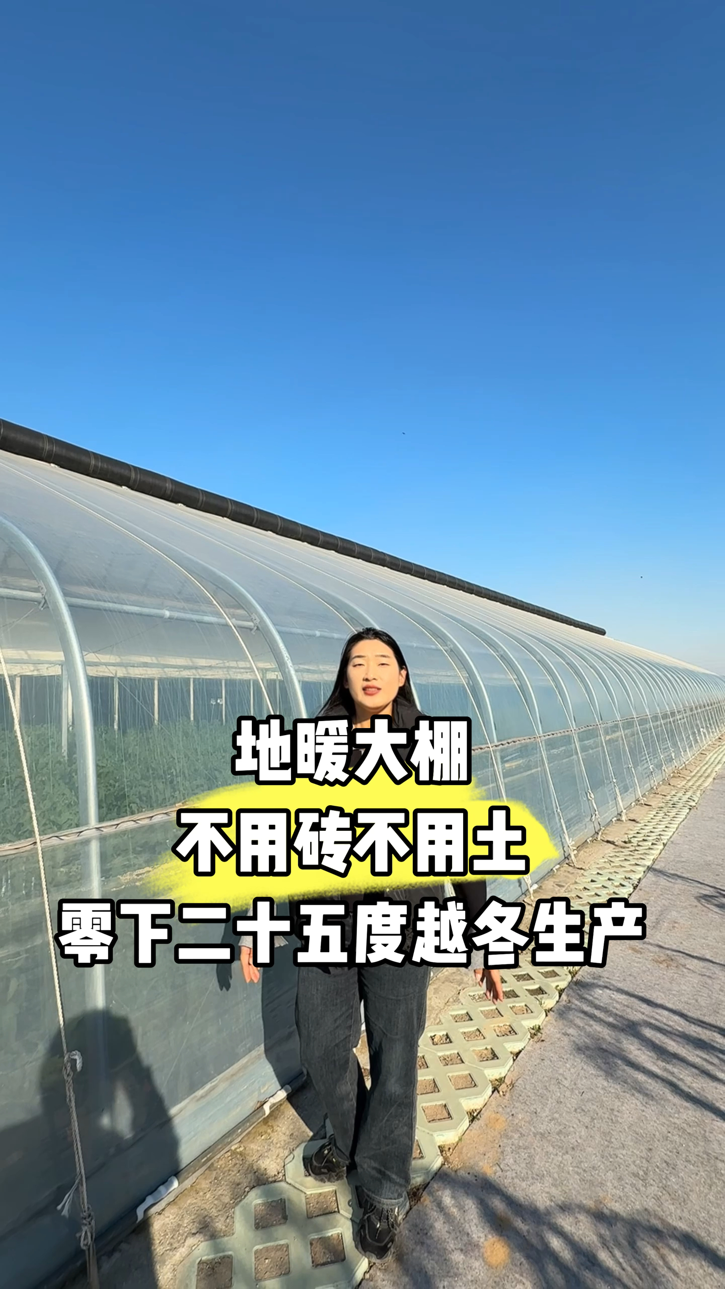 地暖大棚零下二十五度不用砖不用土,0能耗越冬