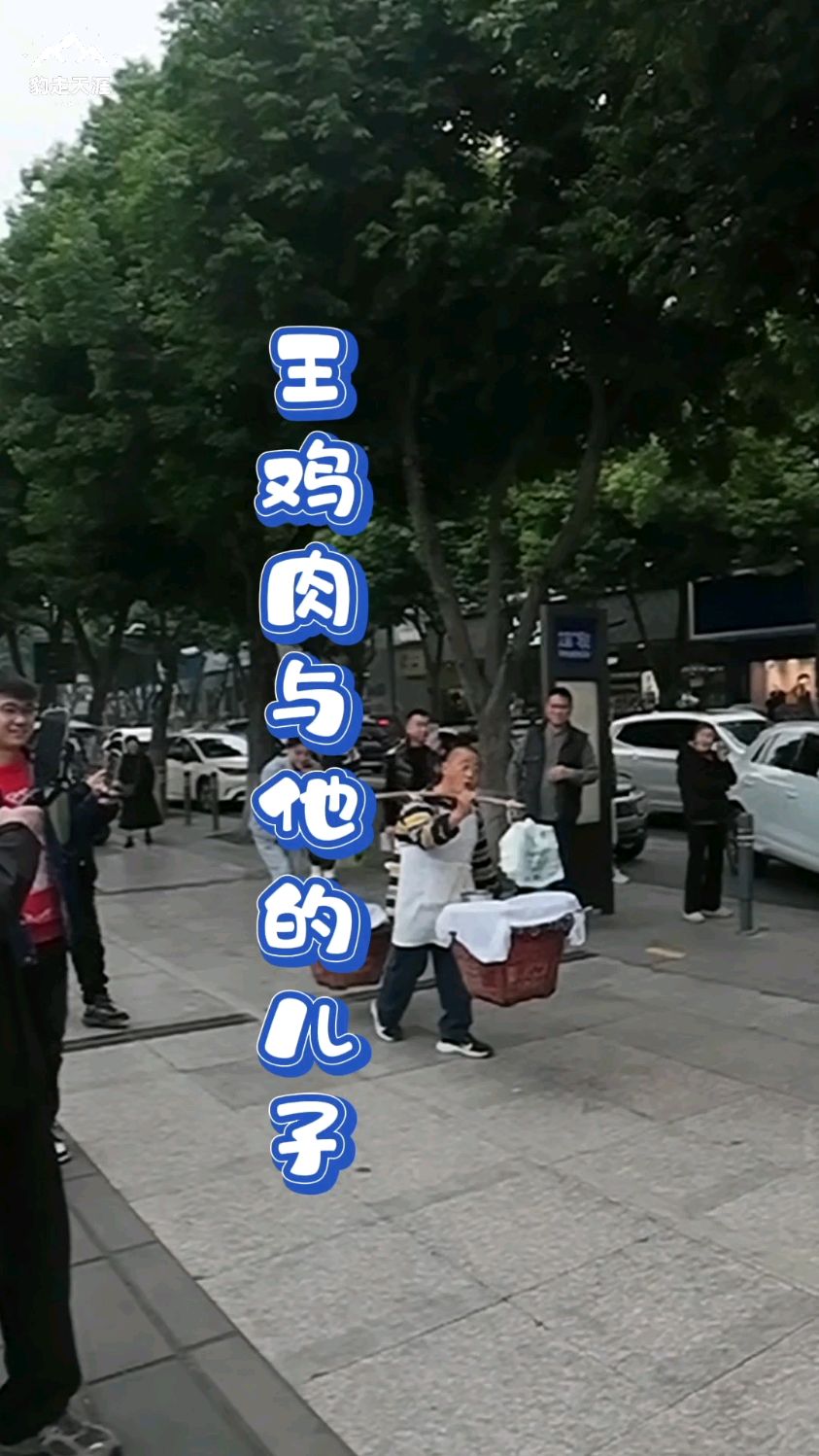 温江文庙斗鸡4:王鸡肉和他的儿子