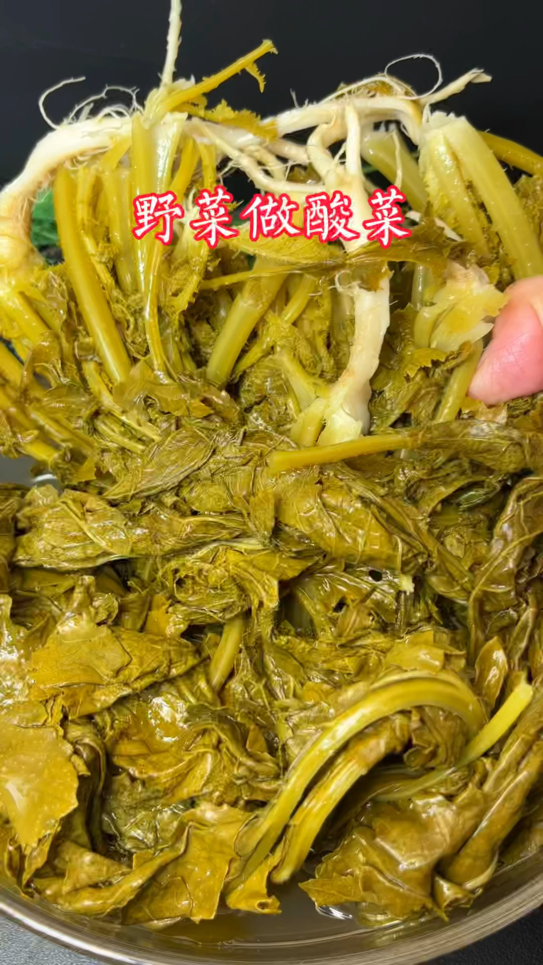 用野生腊菜做酸菜,巨下饭