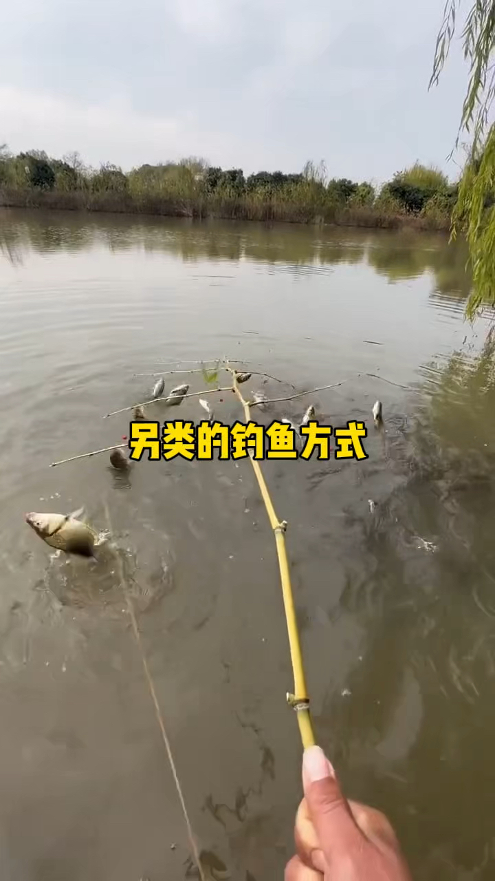 男子一下钓起十条小鱼
