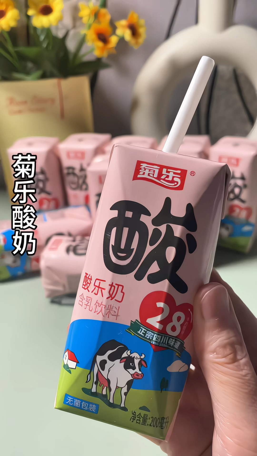 菊乐酸奶  好喝到停不下来