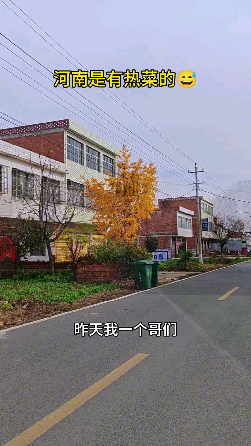 河南是有热菜的,你能坚持到底吗