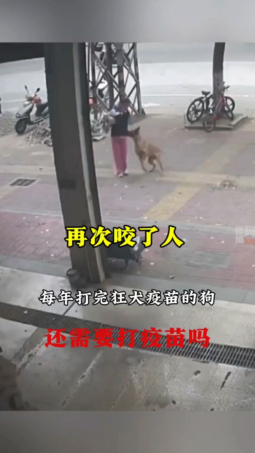 打过狂犬疫苗的狗,它再次咬了人。